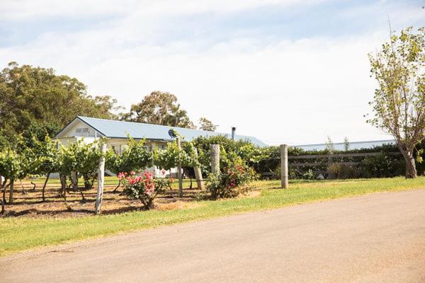 Audrey Wilkinson Vineyard Pension Pokolbin Buitenkant foto