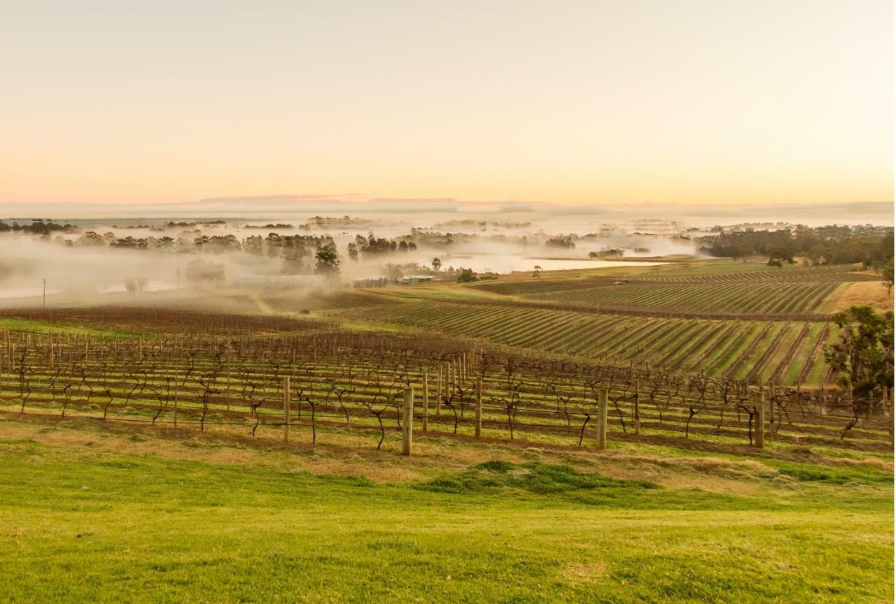 Audrey Wilkinson Vineyard Pension Pokolbin Buitenkant foto